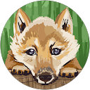 Paweł Karcz profile picture